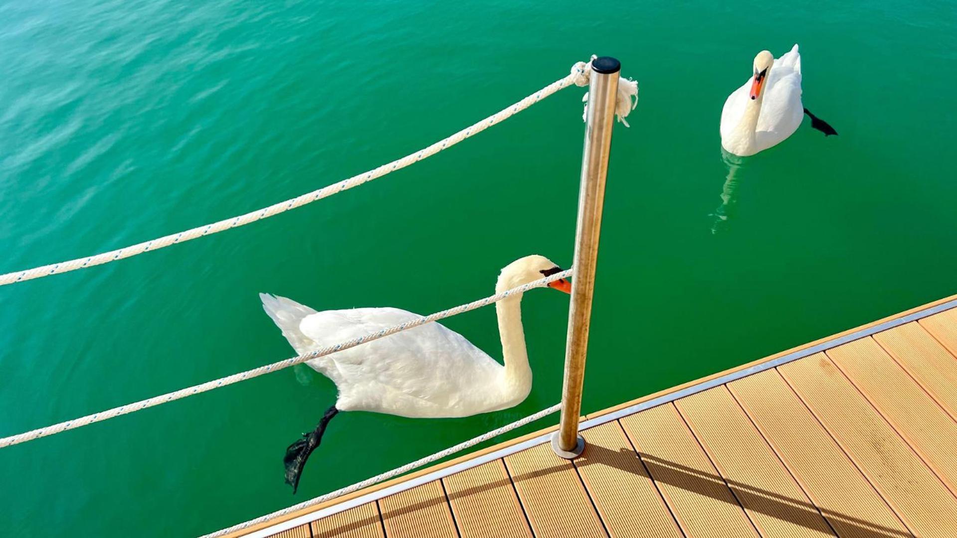 Marina Uno Floating Resort Lignano Sabbiadoro Chambre photo